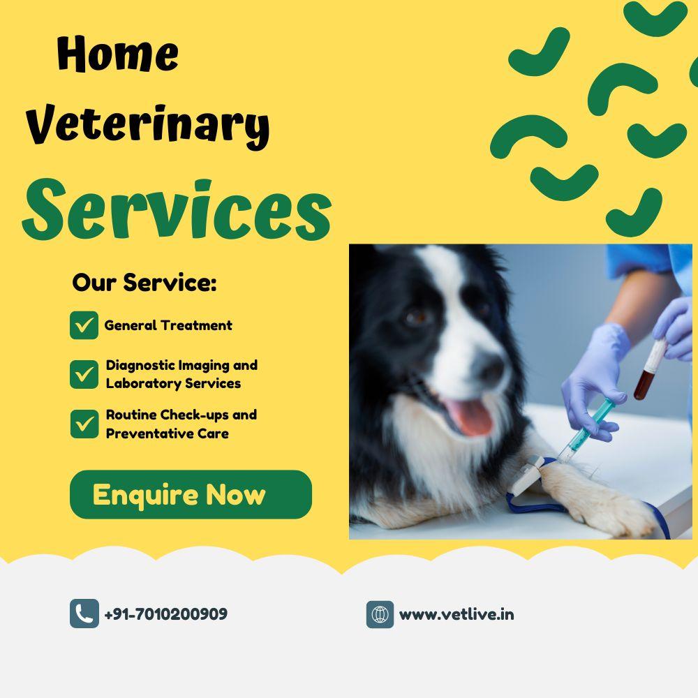 Home vet service