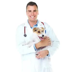 online veterinary doctor